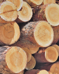 WOOD